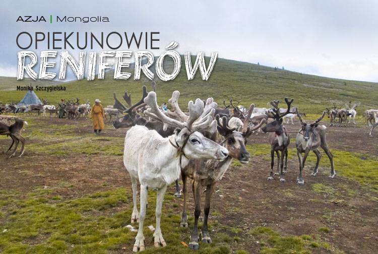 Losowy darmowy artykuł